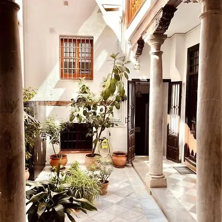 Charming Spacious Albayzin